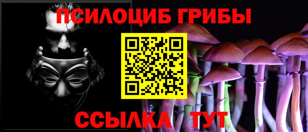Псилоцибиновые грибы GOLDEN TEACHER  Вход с VPN  Бахчисарай 
