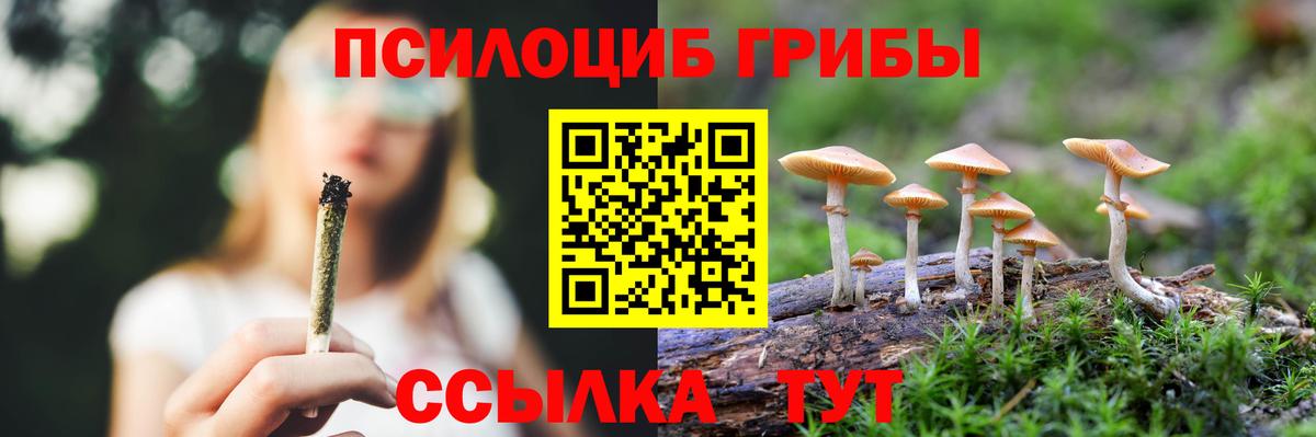 Галлюциногенные грибы Cubensis Бахчисарай